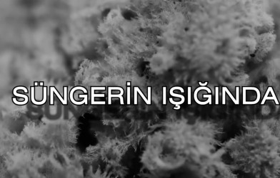 SÜNGERİN IŞIĞINDA Belgeselimiz Yayında!!!