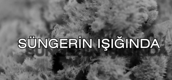 SÜNGERİN IŞIĞINDA Belgeselimiz Yayında!!!